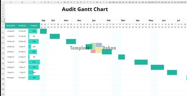 Simple Audit Gantt Chart
